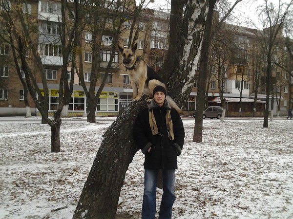 Александр Чайка