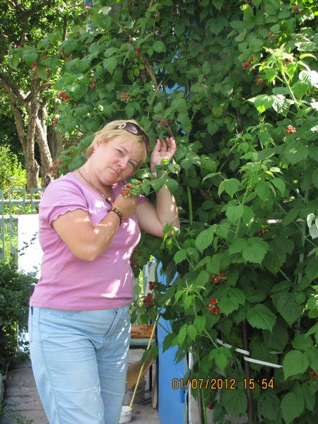 Елена Королева