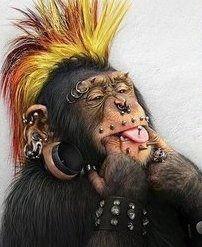 Артем Гусев