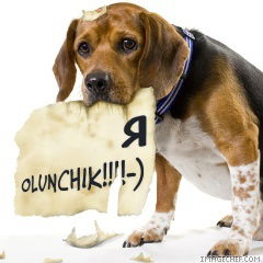 Olunchik Афонина