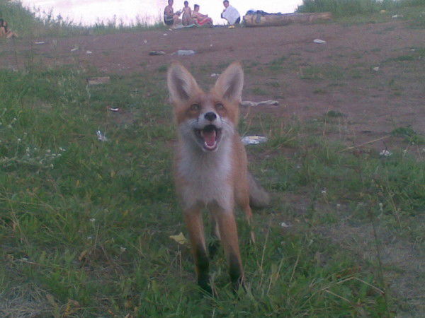 Евгений Галаев