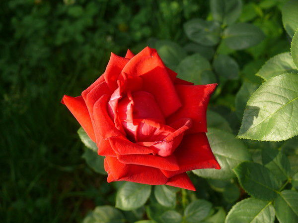 Юлия Кагальницкова