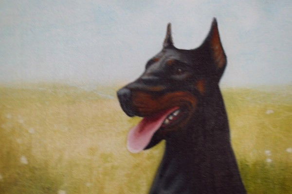 Ева Доберман