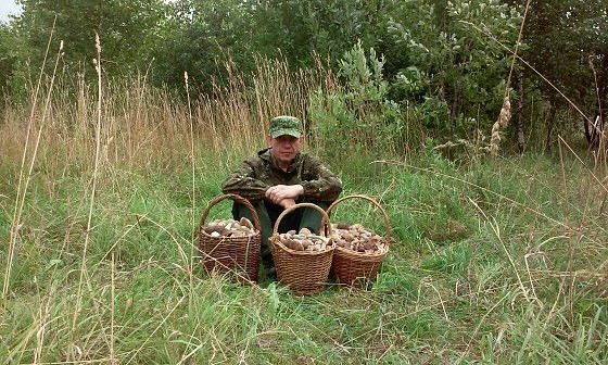 Сергей Кулаченков