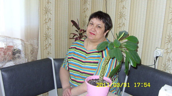 Светлана Малофеева