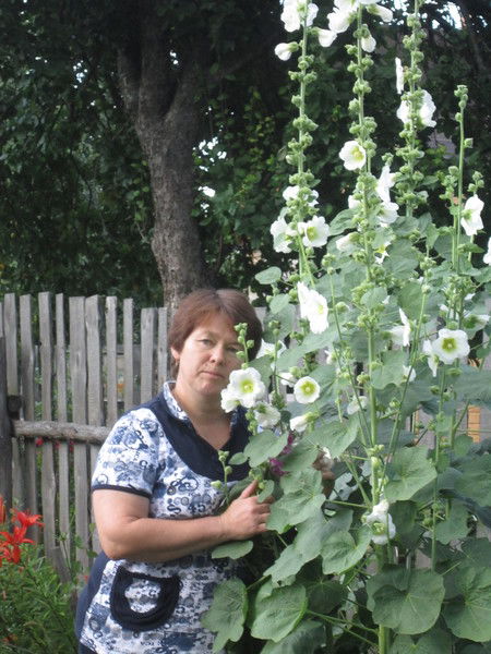 Елена Крылова