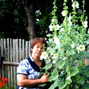 Елена Крылова