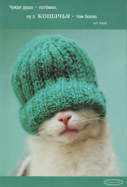 Евгений Филиппов