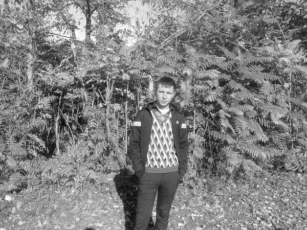 Артем Мамедов