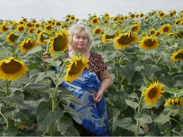 Лариса Постникова