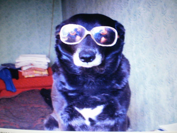 Виктор Судьенков