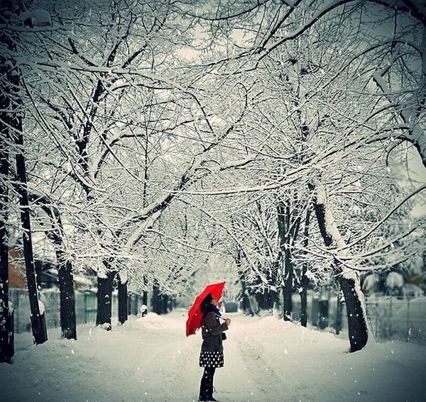 Дарья Шкуркина