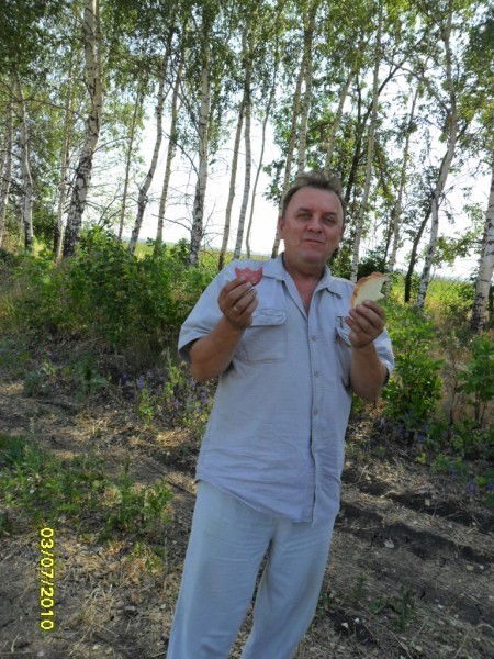 Slavуrik ............