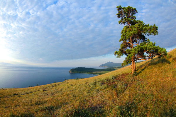 Сергей Гусаков