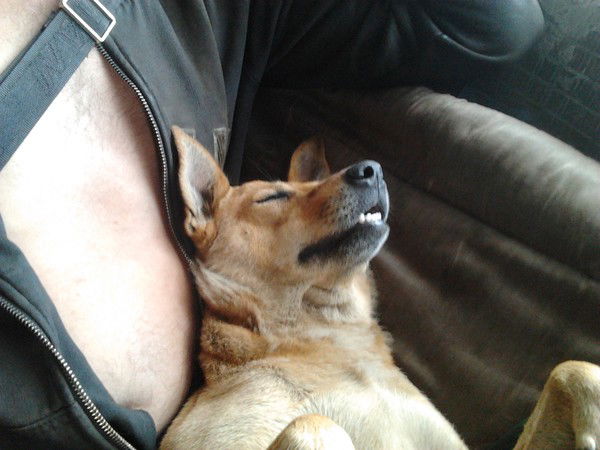 Александр Кисляк