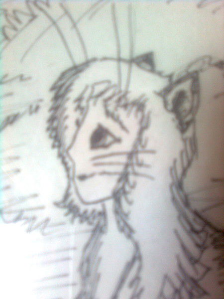 Александра Быкова