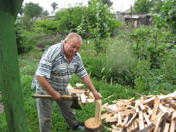 Владимир Полонский