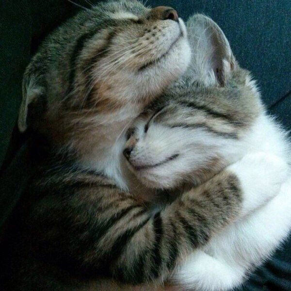 Елена Иванова