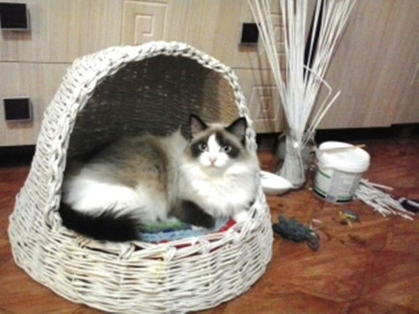 Владимир Баранов