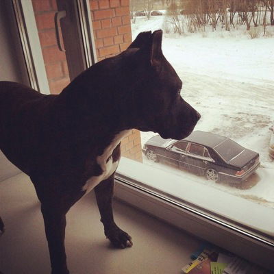 Артем Ротань