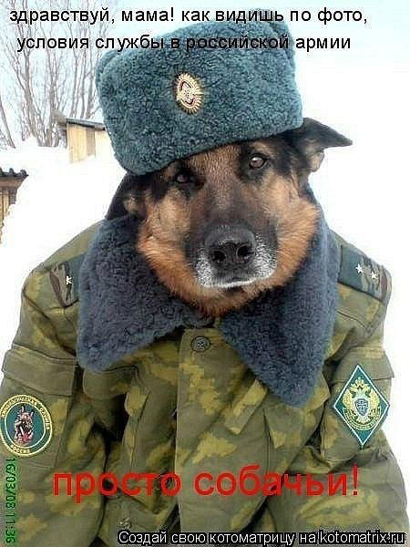 Александр Суслов