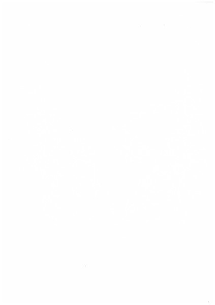 Денис Кожин