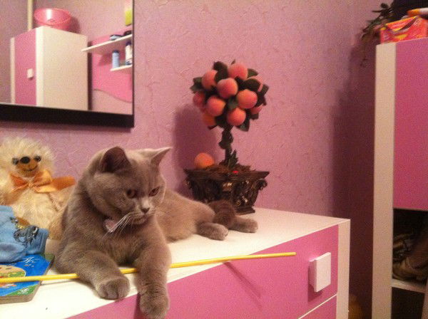 Алена Базаренко