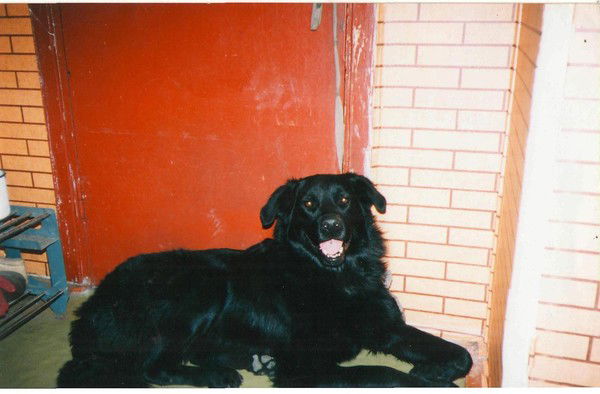 Ирина Чекменева