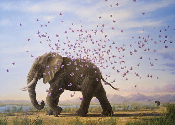 Дарья Щекало