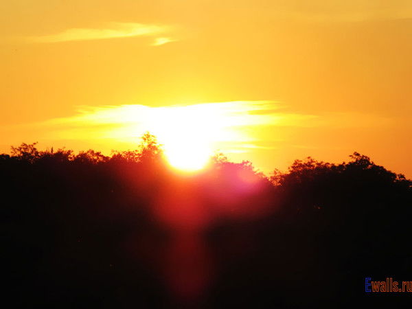 Ринат Галимов