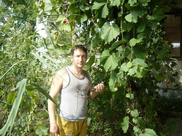 Игорь Довнар