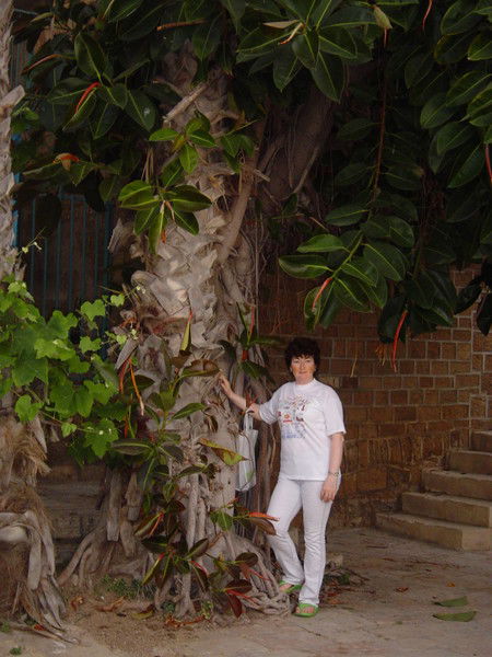 Тамара Дорофеева