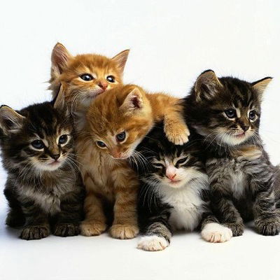 Назгуль Ханнанова