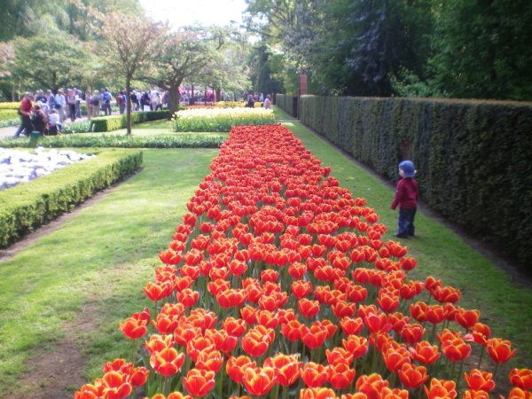 Madina Dzhamankarayeva