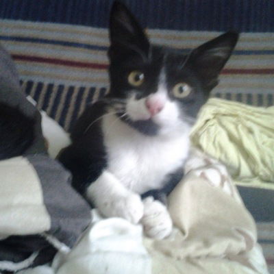 Литун Виктория