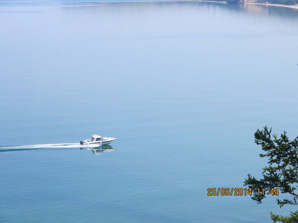 Наталья Кроневальд