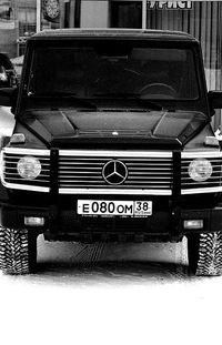 Алина Колесник