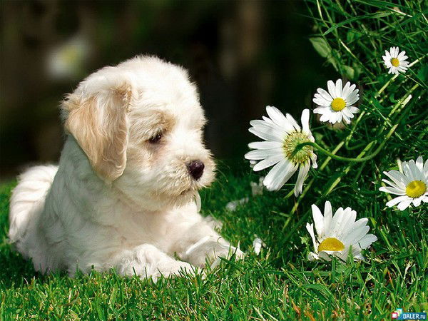 Гульмира Сагиндыкова