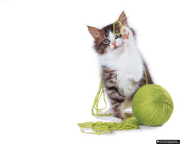 Светлана Прокаева