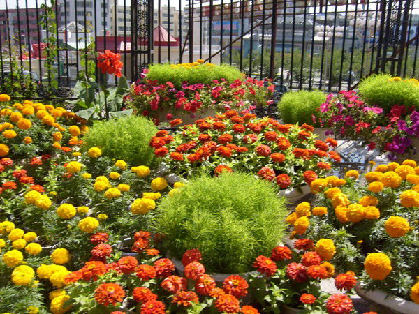 \айгерим \\бакенова