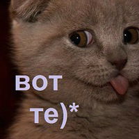 Сергей Богомолов