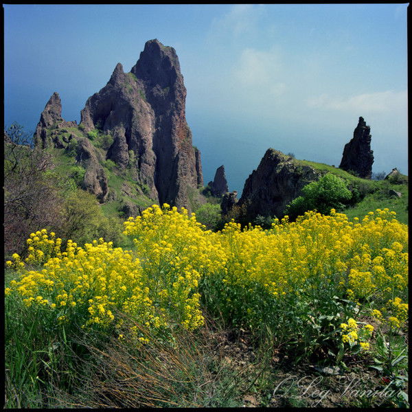 Альбина Гатиятуллина