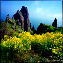 Альбина Гатиятуллина