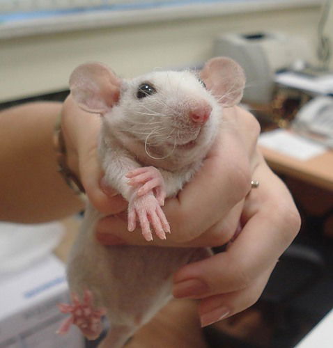 Ольга Ольга