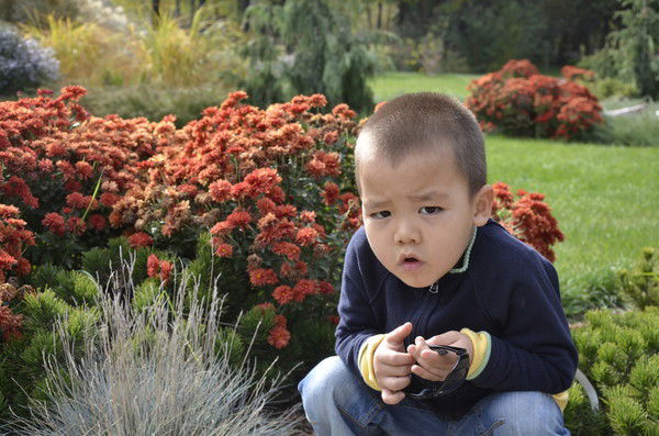 Салтанат Жаркимбекова