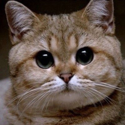 Andrey Круглов