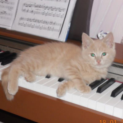 Анастасия Зуева