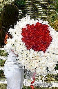 Неизвестно Неизвестно