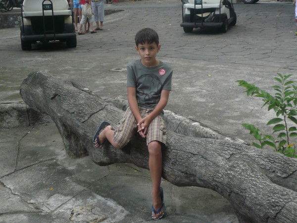 Данил Васин