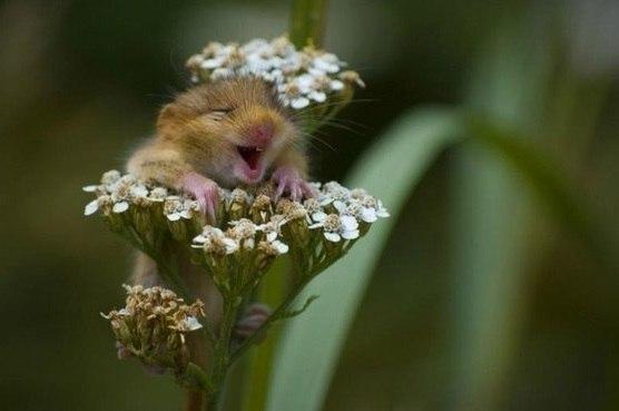 Арина Жетбаева